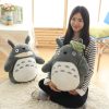 Totoro Plush Toy Cute Plush Cat Japanese Anime Figure Doll Plush Totoro With Lotus Leaf Kids 6 - Studio Ghibli AU Store